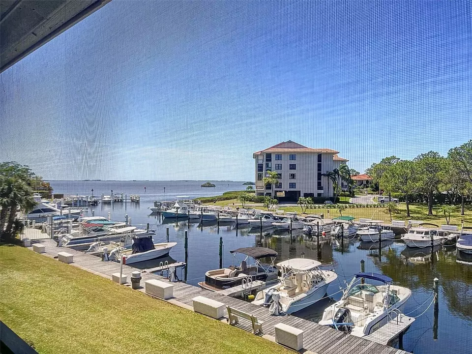 View/Area - 1801 Mariner Dr #20, Tarpon Springs, FL 34689 photo 3 of 17