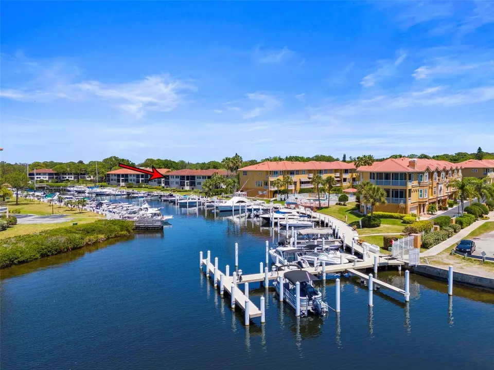 View/Area - 1801 Mariner Dr #20, Tarpon Springs, FL 34689 photo 17 of 17