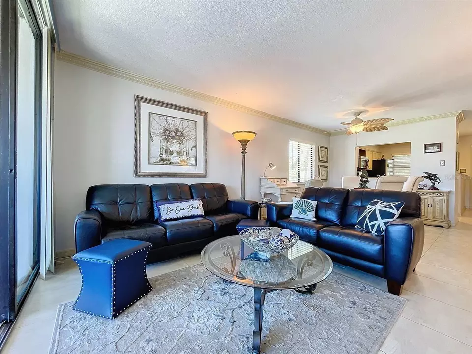 Living - 1801 Mariner Dr #20, Tarpon Springs, FL 34689 photo 6 of 8