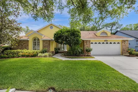 5608 Pine Bay Dr, Tampa, FL 33625