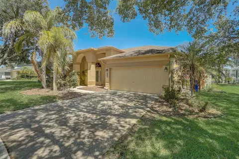 2463 Saddlewood Ln, Palm Harbor, FL 34685