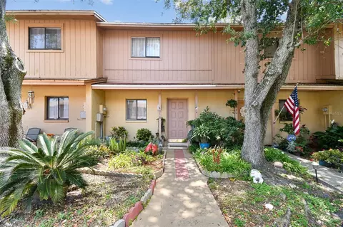 4018 Cedar Limb Ct, Tampa, FL 33614