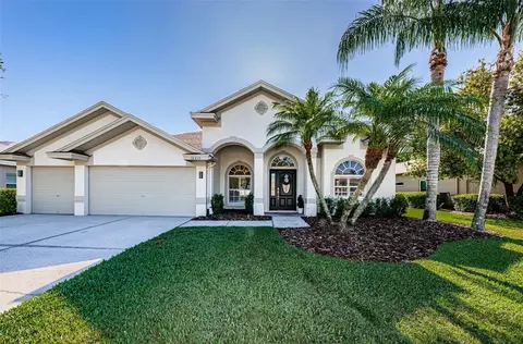 16418 Turnbury Oak Dr, Odessa, FL 33556