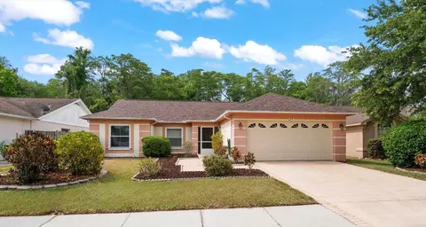 3128 Jodi Ln, Palm Harbor, FL 34684