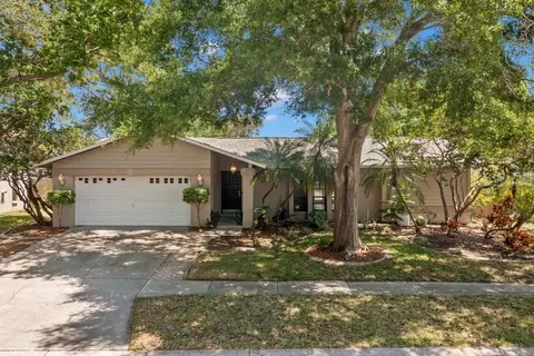 540 Radnor Dr, Palm Harbor, FL 34683