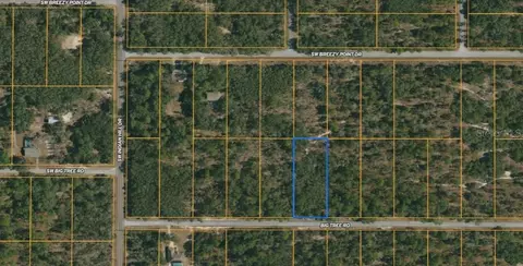 Big Tree Road, Dunnellon, FL 34430
