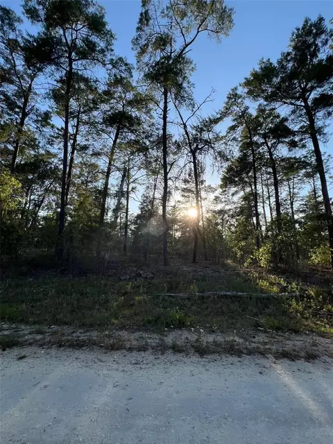 SE 145th Court, Williston, FL 32696