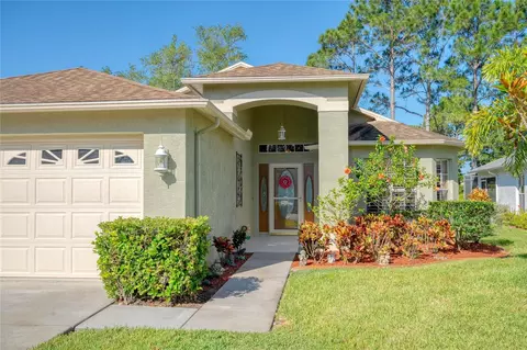 1411 Hickory Moss Pl, Trinity, FL 34655