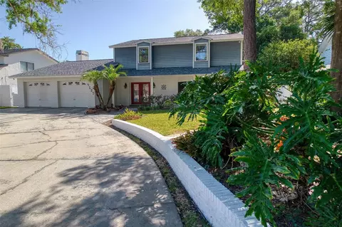 4605 Apple Ridge Ln, Tampa, FL 33624