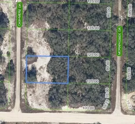 323 Cashmere Dr, Lake Placid, FL 33852
