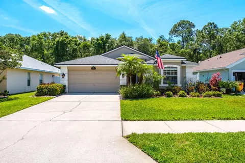 326 Tavernier Dr, Oldsmar, FL 34677