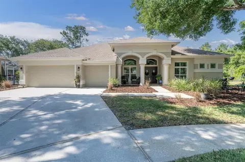 4189 Moreno Dr, Palm Harbor, FL 34685