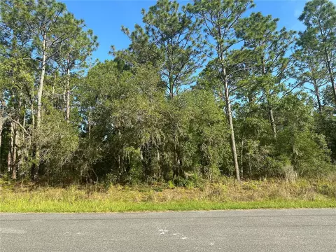 8020 N Triana Dr, Citrus Springs, FL 34434