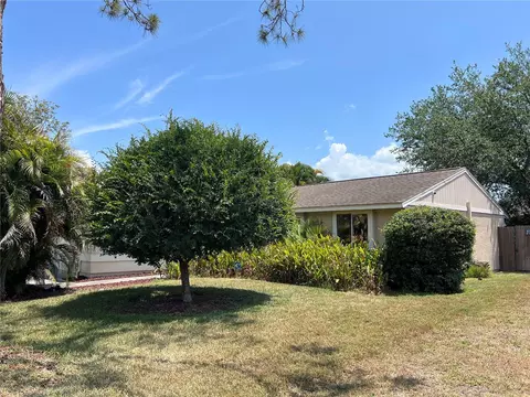 2885 Cinnamon Bear Trl, Palm Harbor, FL 34684