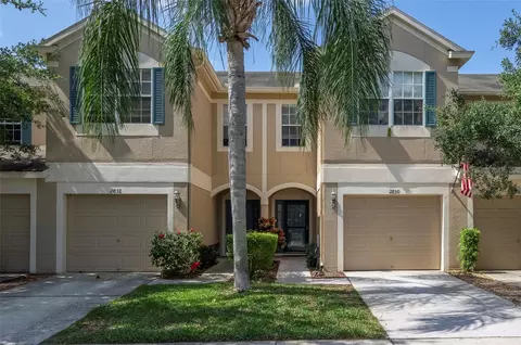 2830 Conch Hollow Dr, Brandon, FL 33511