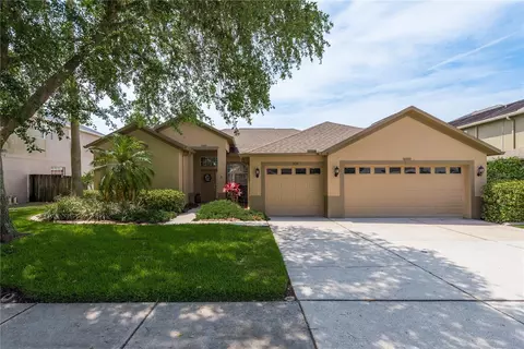 1735 Swamp Rose Ln, Trinity, FL 34655