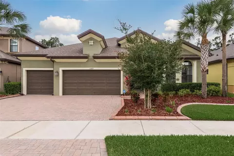 13717 Moonstone Canyon Dr, Riverview, FL 33579