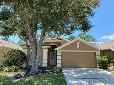 3141 Banyan Hill Ln, Land O Lakes, FL 34639