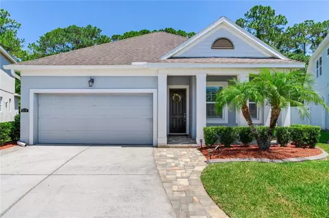 8120 Champions Forest Way, Tampa, FL 33635
