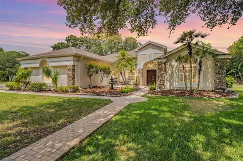 4081 Carlyle Lakes Blvd, Palm Harbor, FL 34685