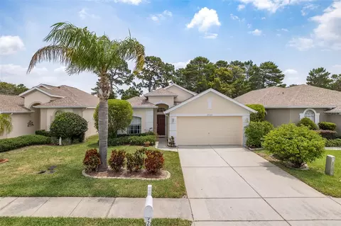 2920 Plantain Dr, Holiday, FL 34691