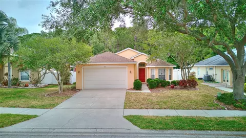 318 Fountainview Cir, Oldsmar, FL 34677