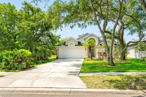 12410 Glenfield Ave, Tampa, FL 33626