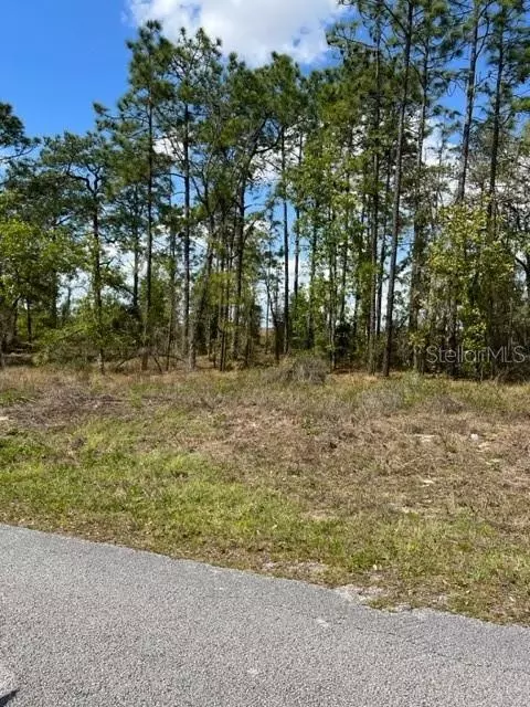 1 Falcon Ave, Dunnellon, FL 34431