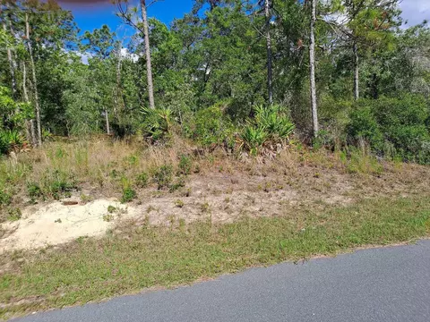 7408 Mandrake Rd, Weeki Wachee, FL 34613