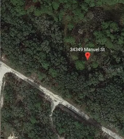 34349 Manuel St, Webster, FL 33597