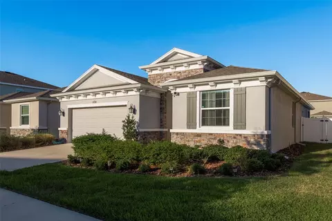 10919 Kidron Valley Ln, Tampa, FL 33625