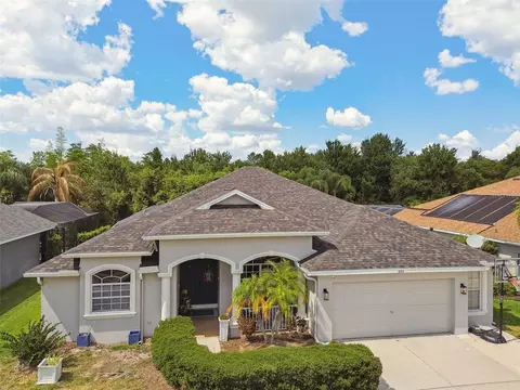2117 Larkspur Ct, Trinity, FL 34655