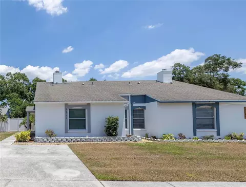7711 Citrus Field Ct, Tampa, FL 33625