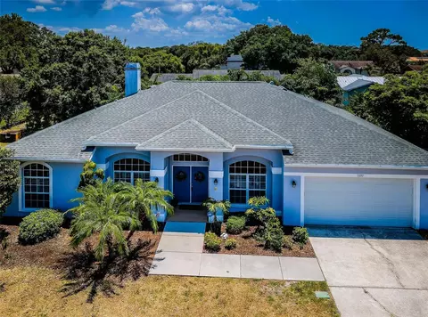 1032 Rosetree Ln, Tarpon Springs, FL 34689