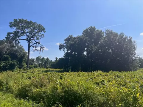 1037 Redbird St, Lake Placid, FL 33852
