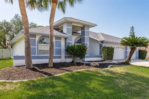 1815 Painted Bunting Cir, Palm Harbor, FL 34683