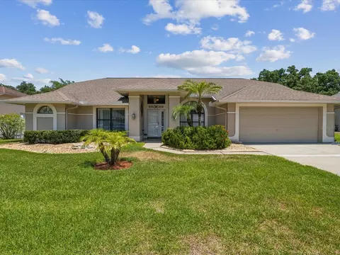 23519 Oakside Blvd, Lutz, FL 33559