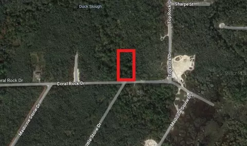 Coral Rock Street, Webster, FL 33597