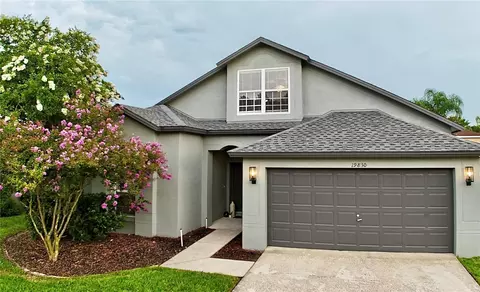 19830 Ellendale Dr, Land O Lakes, FL 34638