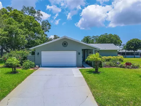 1522 W Dorchester Dr, Palm Harbor, FL 34684