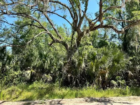 108106 Plumosa Dr, Georgetown, FL 32139