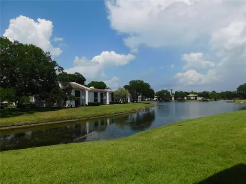 147 Lakeside Dr, Oldsmar, FL 34677