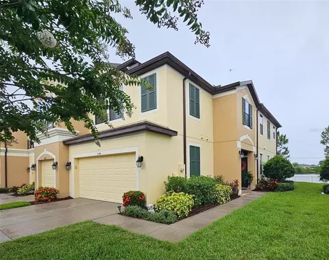 9144 Fox Sparrow Rd, Tampa, FL 33626