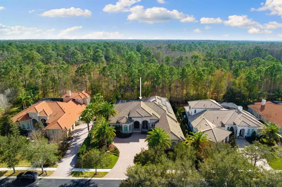  2611 Hawks Landing Blvd, Palm Harbor, FL 34685 photo 1