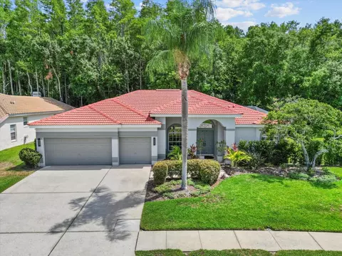 3181 Sterling St, Tarpon Springs, FL 34688