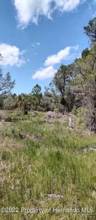 18167 Quinton Rd, Brooksville, FL 34614