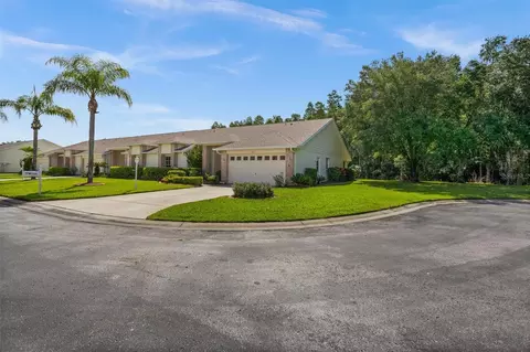 1016 Flora Vista St, Trinity, FL 34655