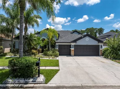 12906 Castlemaine Dr, Tampa, FL 33626