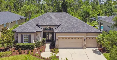 23305 Gracewood Cir, Land O Lakes, FL 34639