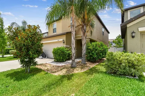 4010 Cat Mint St, Tampa, FL 33619